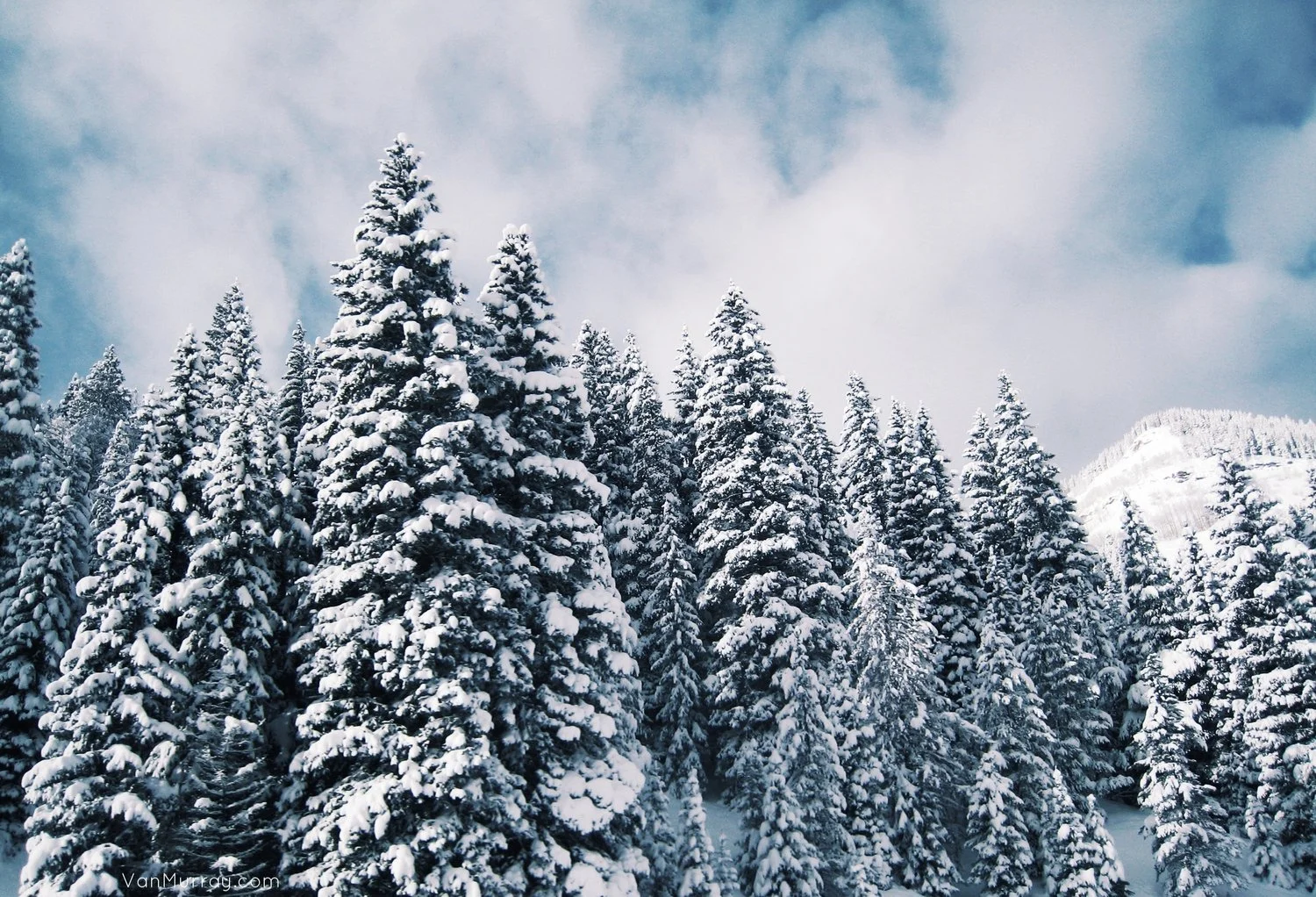 Beaver Creek