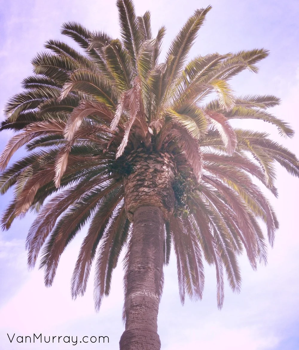 Coronado, San Diego